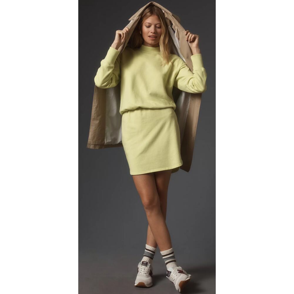 Anthropologie Sundry Long-Sleeve Mock-Neck Mini Dress